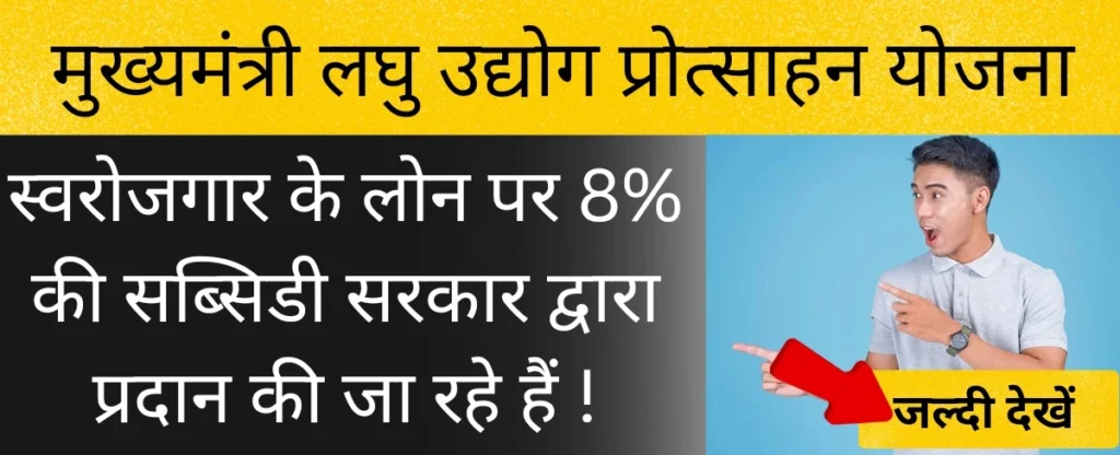 मुख्यमन्त्री लघु उद्योग प्रोत्साहन योजना