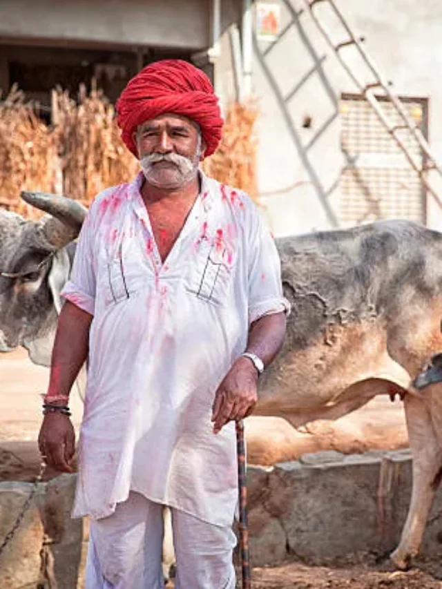 मुख्यमंत्री कामधेनु बीमा योजना