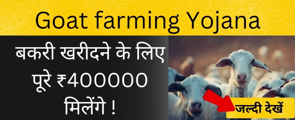 goat farming yojana