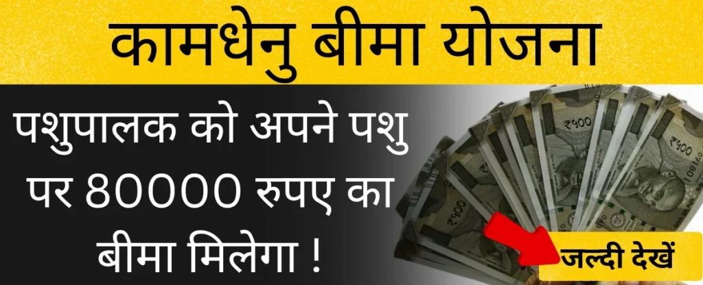 मुख्यमंत्री कामधेनु बीमा योजना