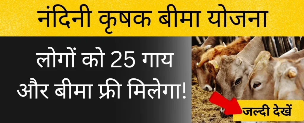 नंदिनी कृषक बीमा योजना