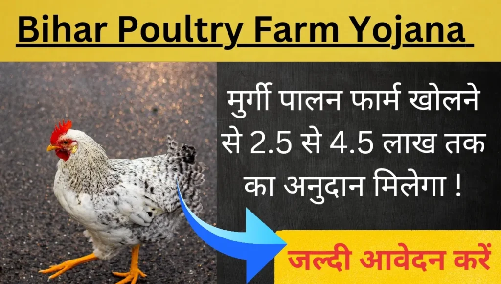 bihar poultry farm yojana