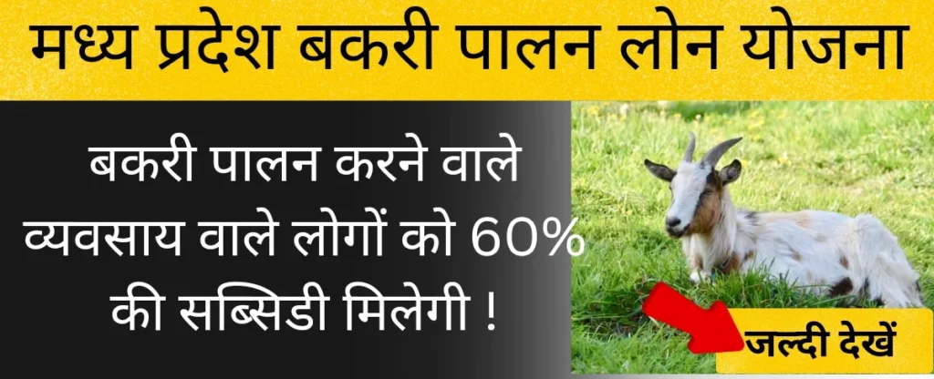 बकरी पालन लोन योजना मध्यप्रदेश
