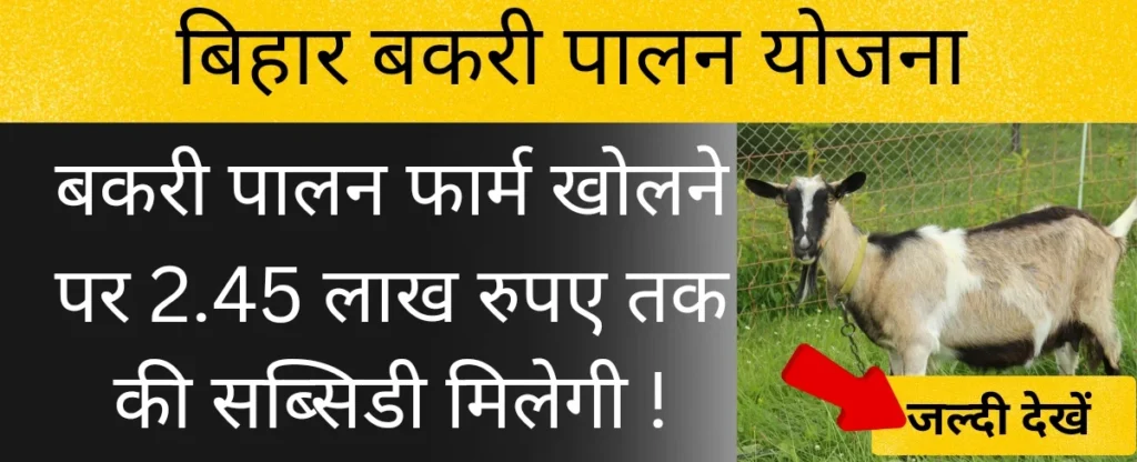 बिहार बकरी पालन योजना