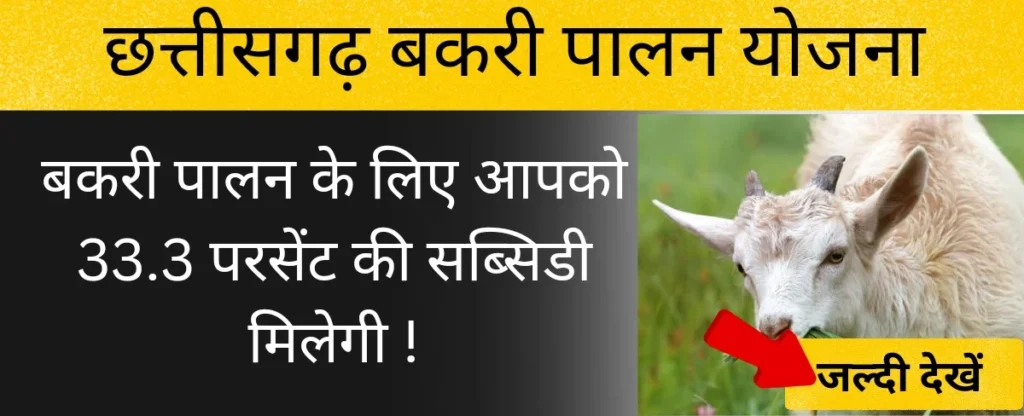 छत्तीसगढ़ बकरी पालन योजना