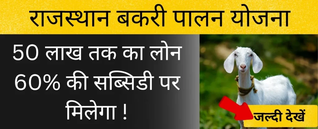 राजस्थान बकरी पालन योजना