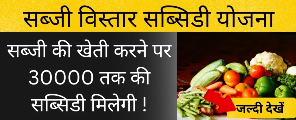 सब्जी क्षेत्र विस्तार सब्सिडी योजना