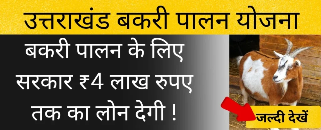 उत्तर प्रदेश बकरी पालन योजना