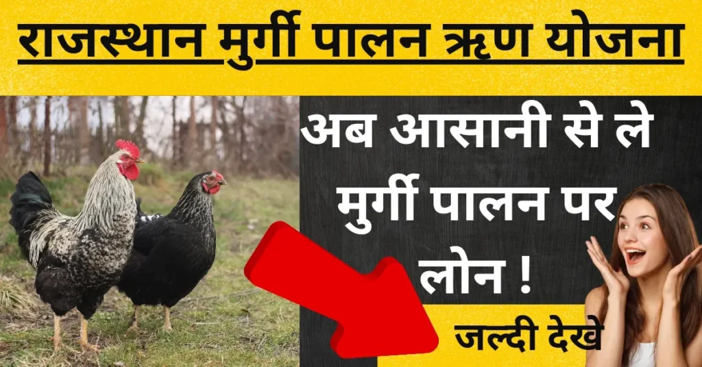 राजस्थान मुर्गी पालन ऋण योजना 