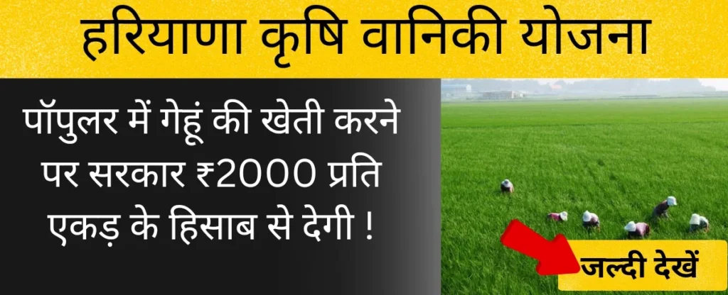 हरियाणा कृषि वानिकी योजना