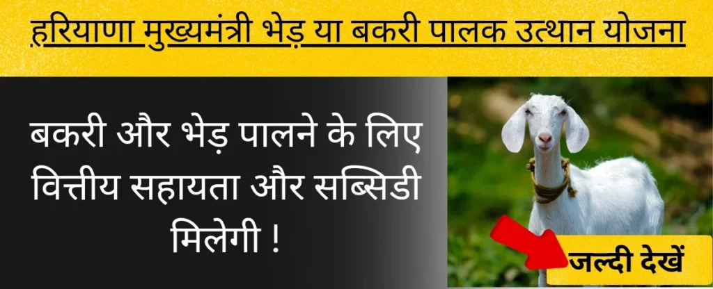 हरियाणा मुख्यमंत्री भेड़ या बकरी पालन उत्थान योजना