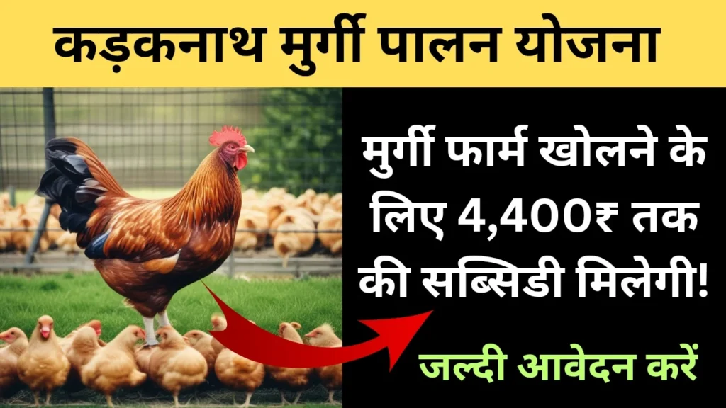 कड़कनाथ मुर्गी पालन योजना