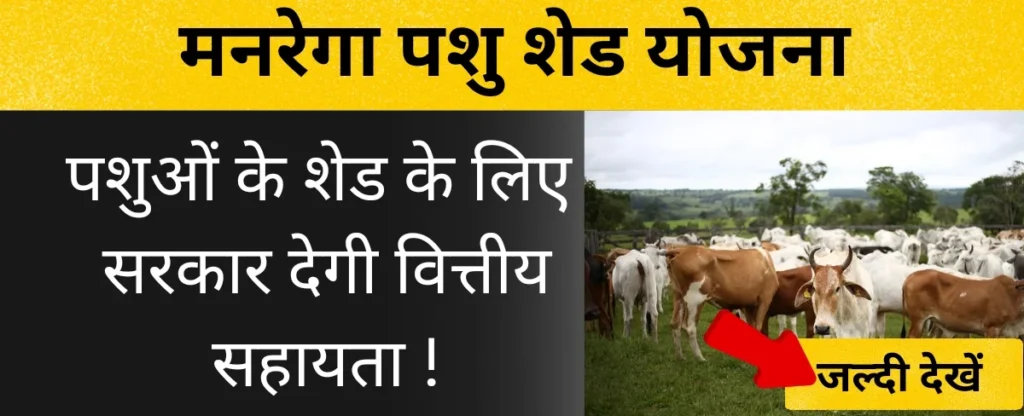मनरेगा पशु शेड योजना