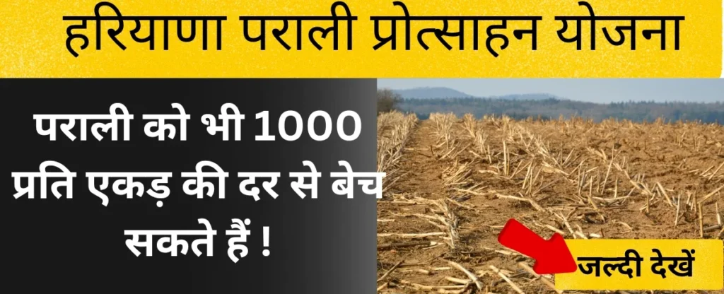haryana parali protsahan yojana