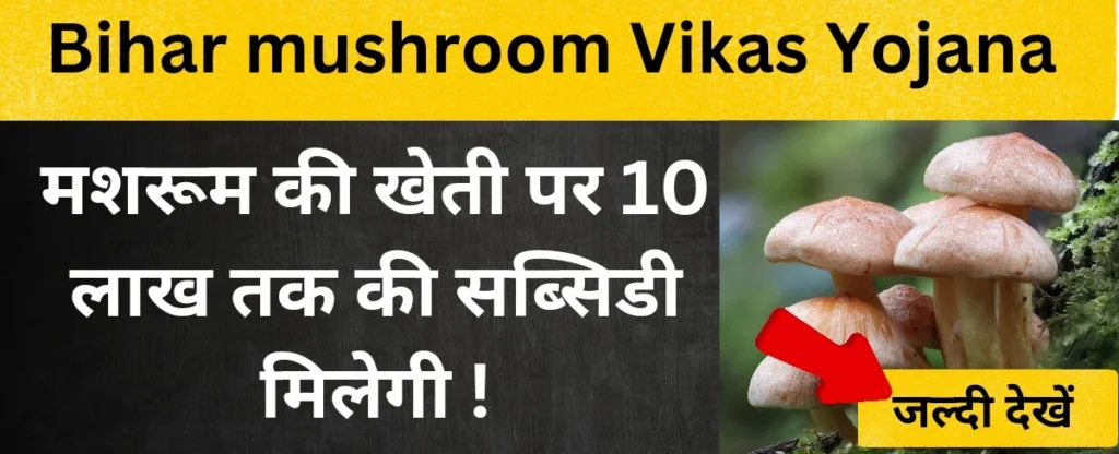 Bihar mushroom Vikas Yojana