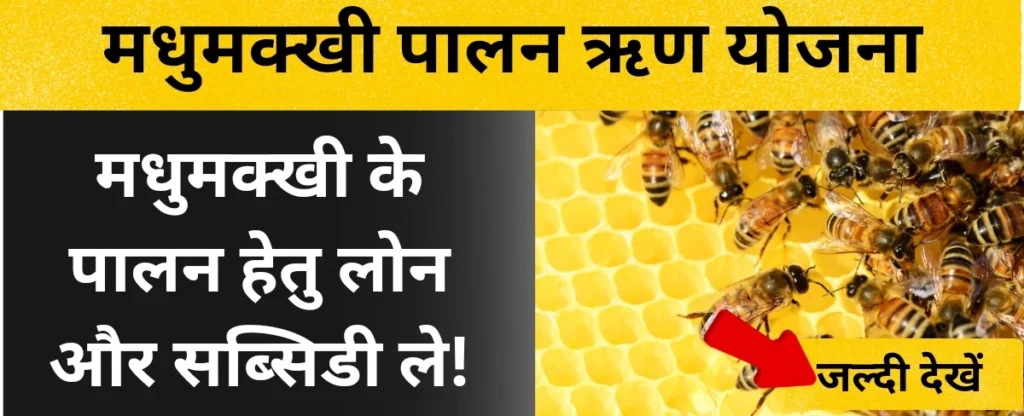 मधुमक्खी पालन ऋण योजना