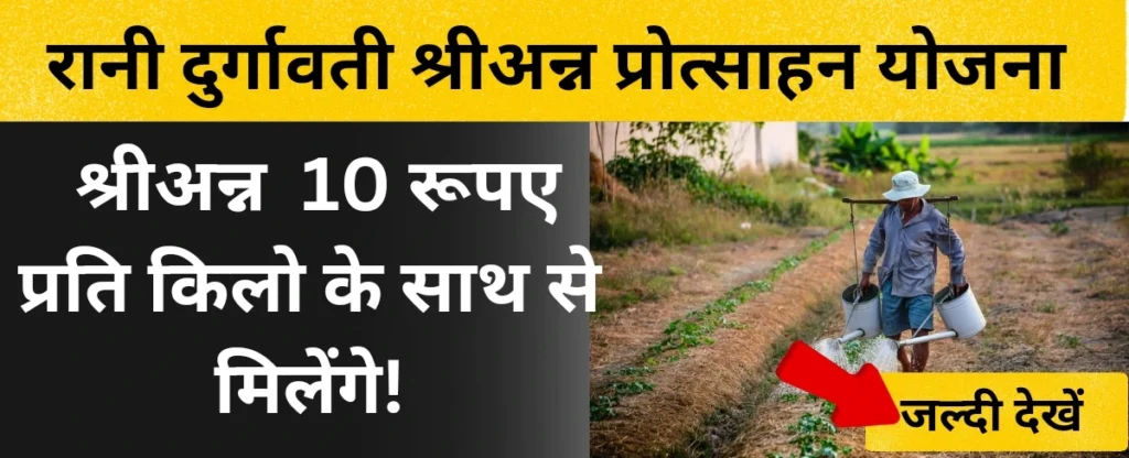 रानी दुर्गावती श्रीअन्न प्रोत्साहन योजना
