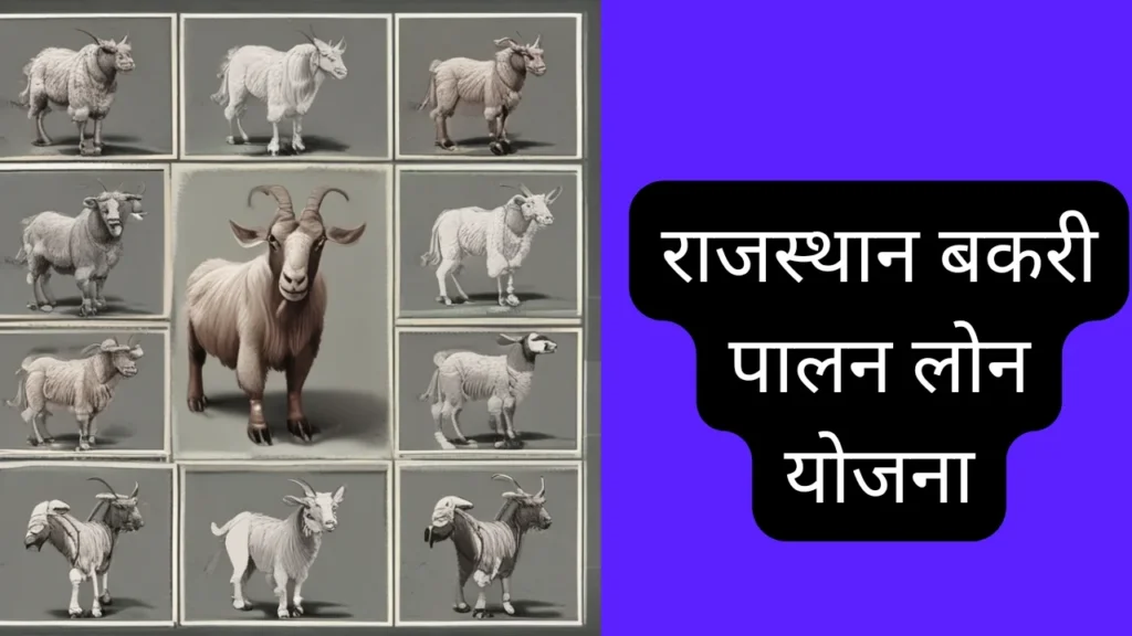 Rajasthan Bakri Palan Loan Yojana