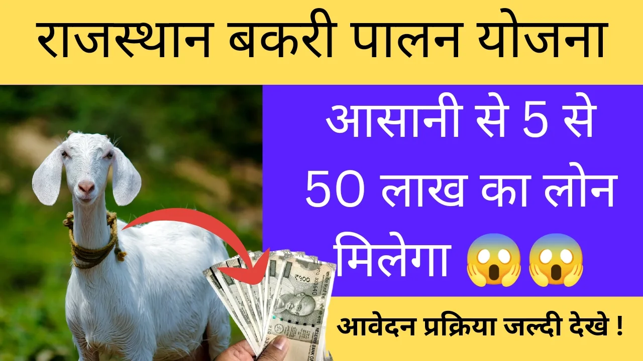 Rajasthan Bakri Palan Yojana Apply Online