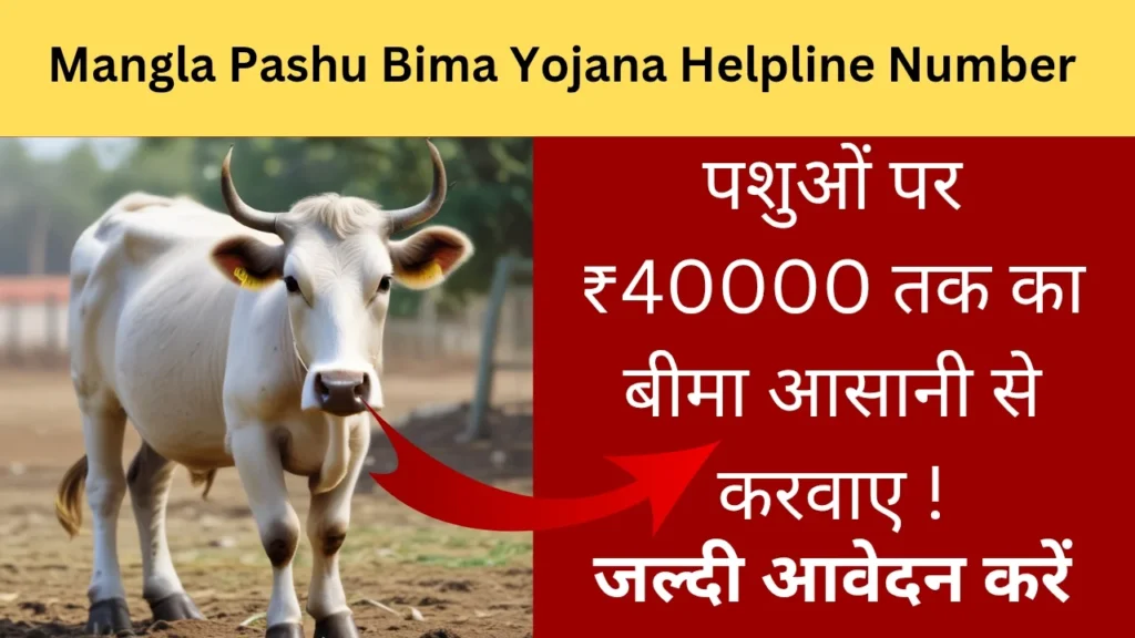 Mangla Pashu Bima Yojana Helpline Number